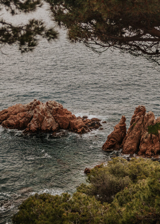 Fotógrafo Girona :: Girona photographer :: Barcelona wedding photographer :: Convent de Blanes :: Barcelona photographer :: Fotógrafo boda Barcelona :: FotógrFotógrafo Girona :: Girona photographer :: Barcelona wedding photographer :: Convent de Blanes :: Barcelona photographer :: Fotógrafo boda Barcelona :: Fotógrafo Boda Gironaafo Boda Girona