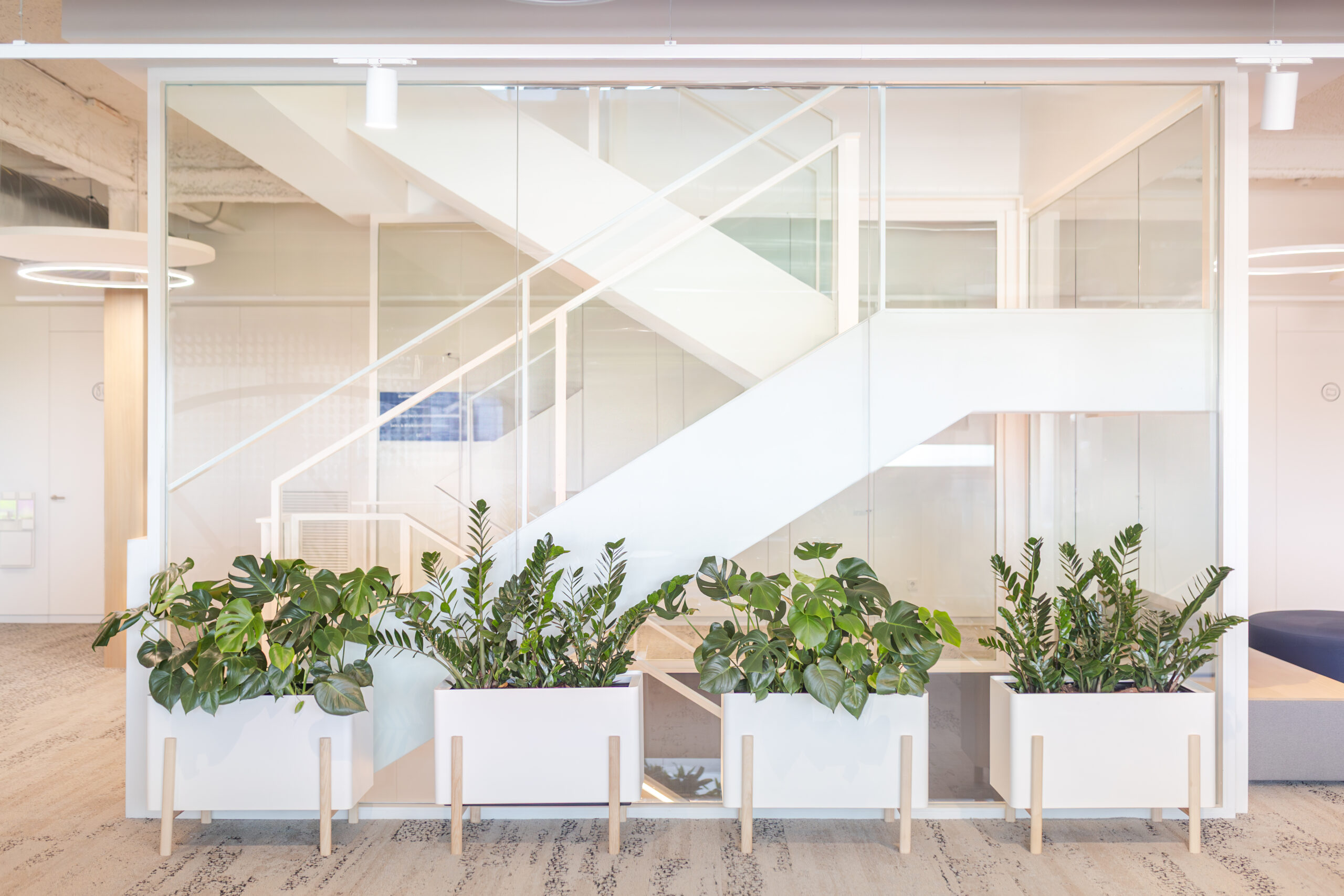 Espacios colaborativos en oficinas diseñadas por BICG con estética contemporánea